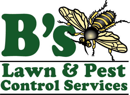 Brandon Lee - B's Lawn & Pest Control Services | County Advisory Board