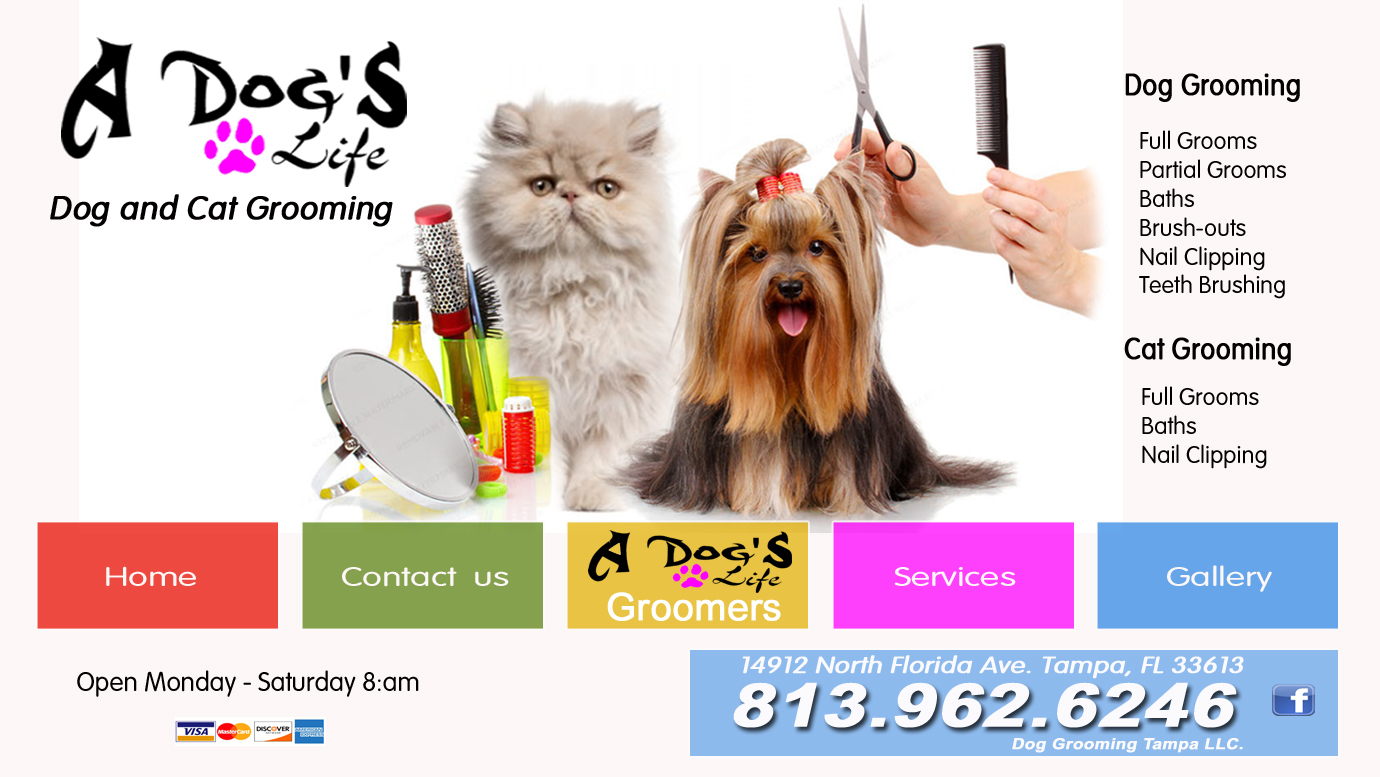 Kelly Sousa Dog Grooming Tampa LLC County Advisory Board